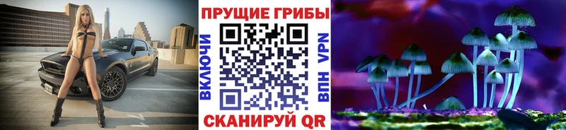 Галлюциногенные грибы мицелий  где найти   Ак-Довурак 